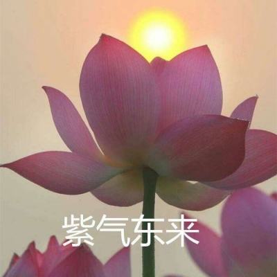 智芯赋能・链动未来——和利时亮...